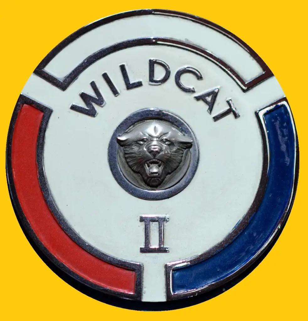 2023 1954 Buick Wildcat II