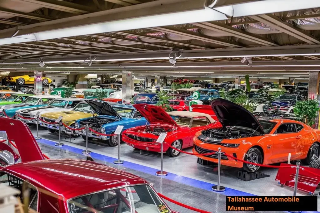 tallahassee automobile museum