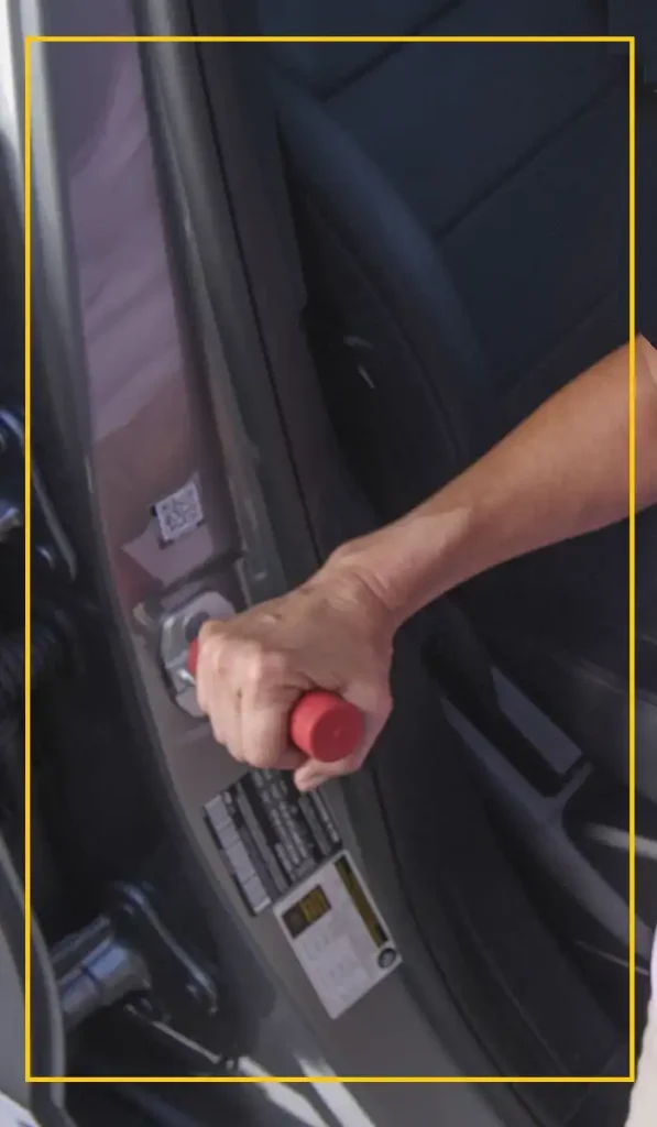 Car Cane