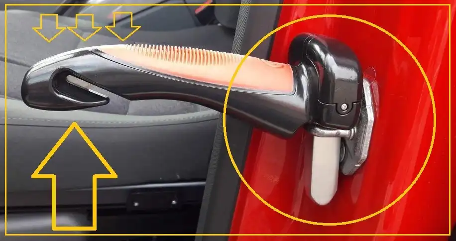 Car Cane