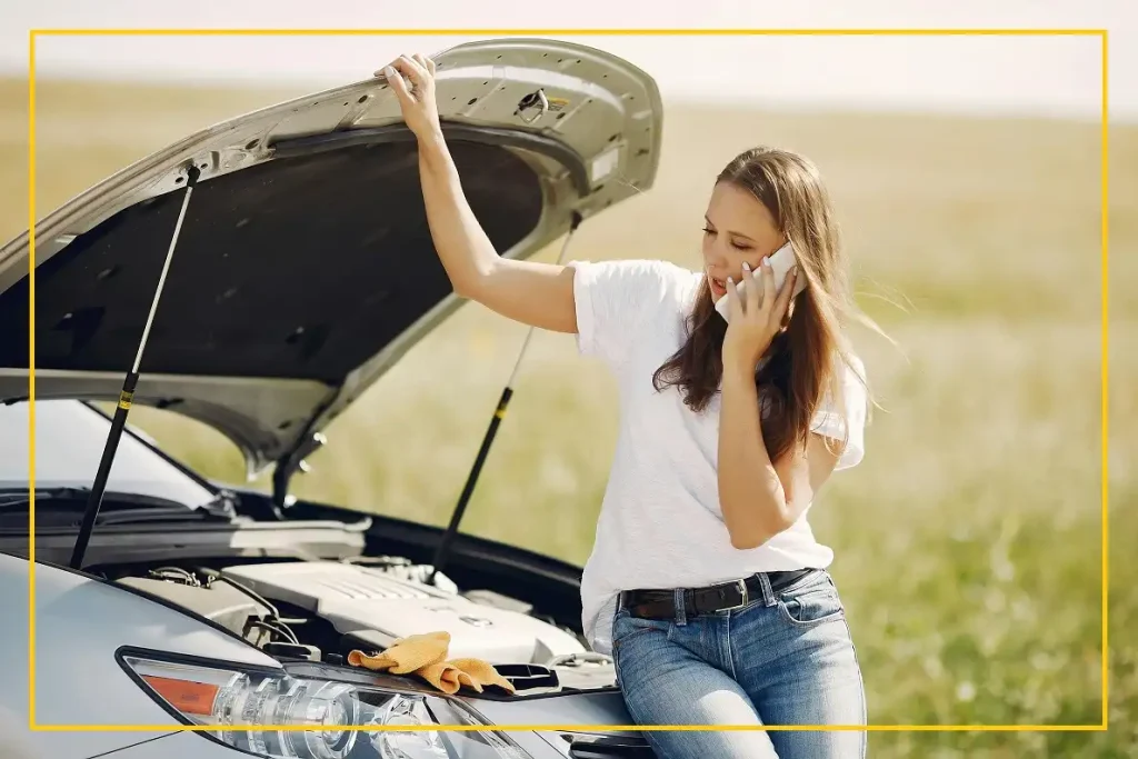 Automotive Schools 