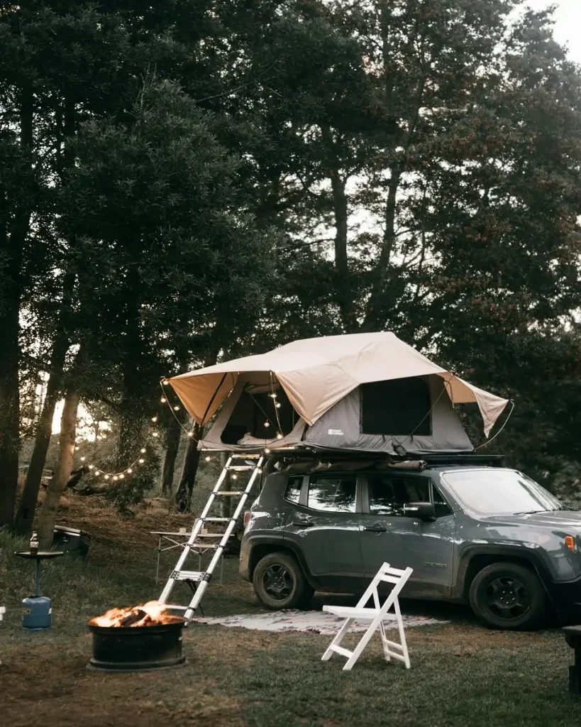 Truck into a Travel Oasis