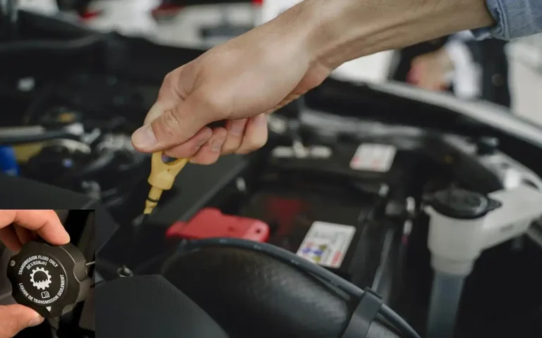 Transmission Fluid