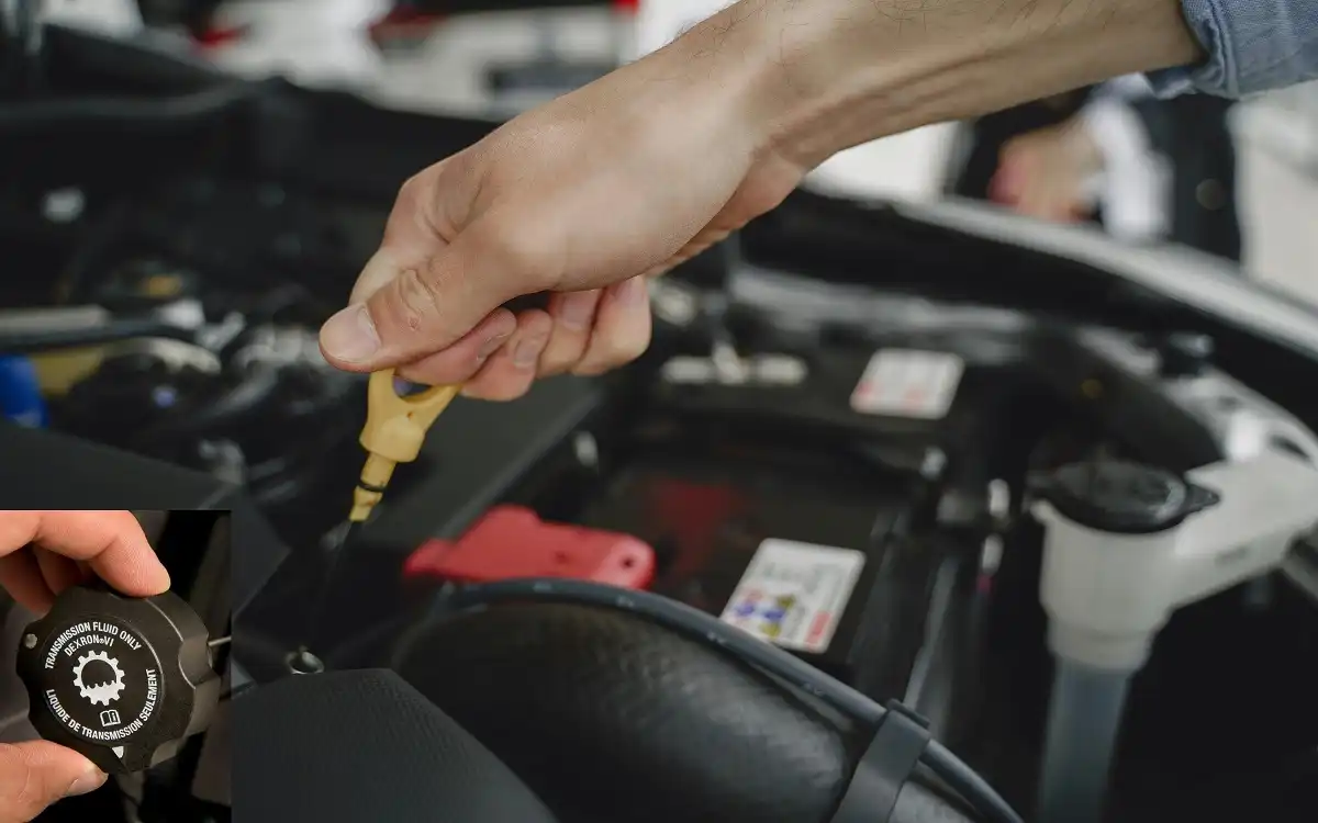 Transmission Fluid