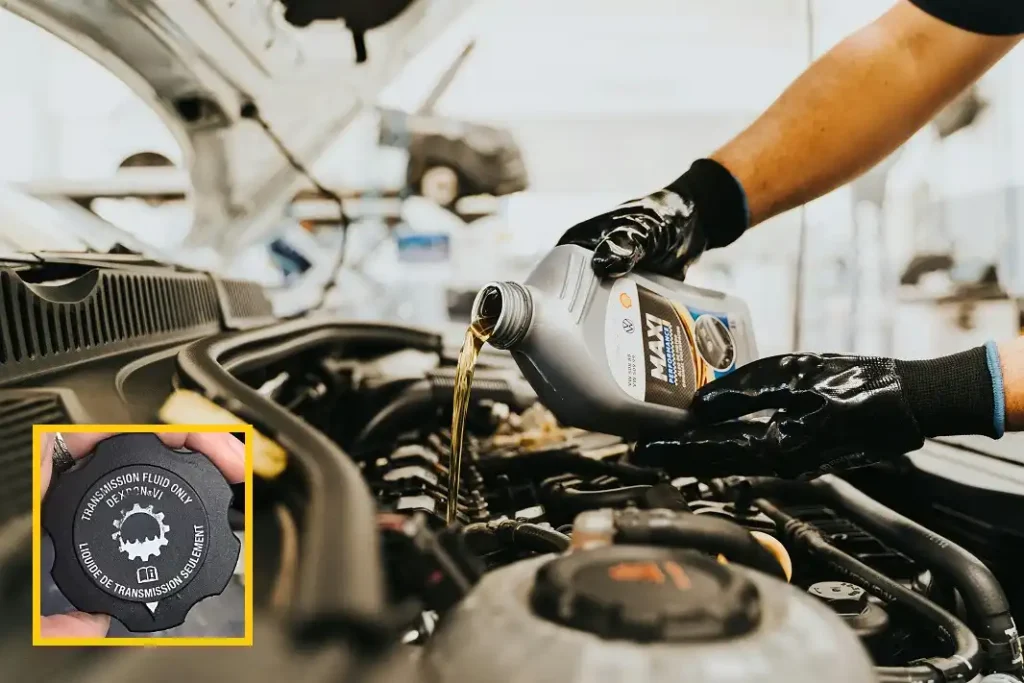 Transmission Fluid