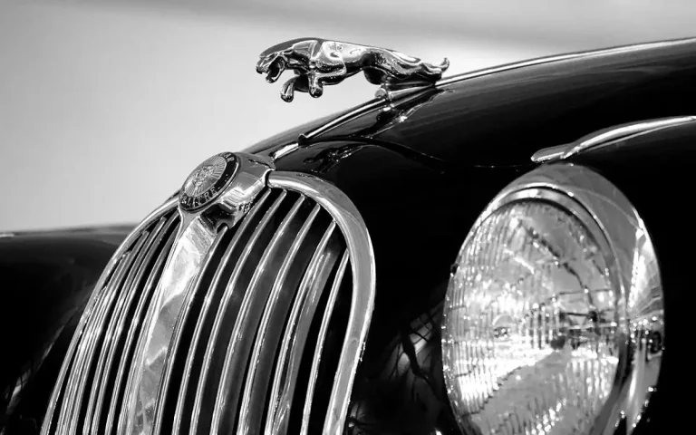 Jaguar XK