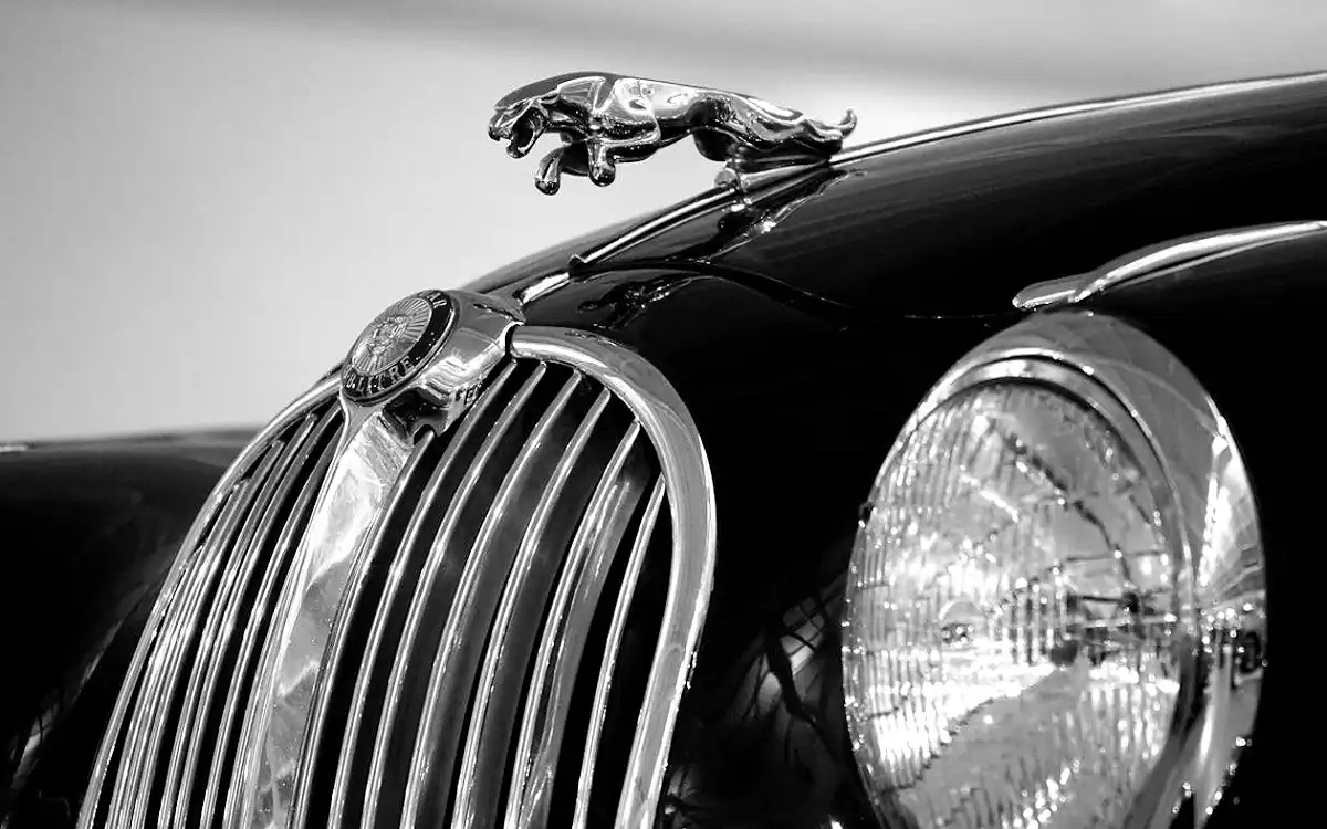 Jaguar XK